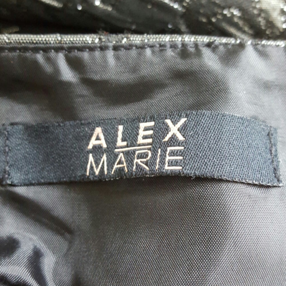 ALEX MARIE Metallic Skirt Size 6 - Picture 2 of 6